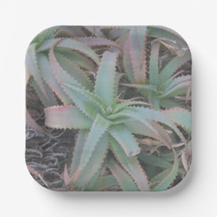 Nevada succulents        paper plate