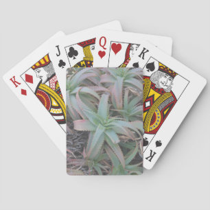 Nevada succulents           playing cards