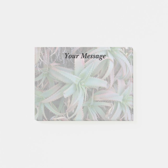 Nevada succulents post-it notes (Front)