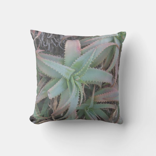 Nevada succulents throw pillow (Front)