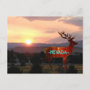 Nevada Sunset Postcard