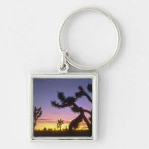 NEVADA. USA. Joshua trees Yucca brevifolia) Keychain