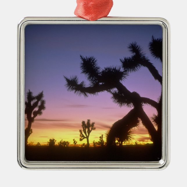 NEVADA. USA. Joshua trees Yucca brevifolia) Metal Ornament (Front)