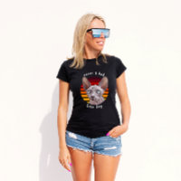 Never a bad hair day Sphynx Cat