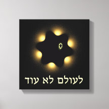 Never Again Fractal Star Of David