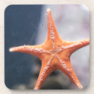 Never ask a star fish directions coaster
