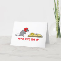 Never ever give up