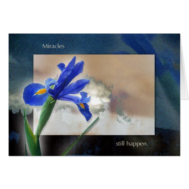 Never Give Up (Front Horizontal)