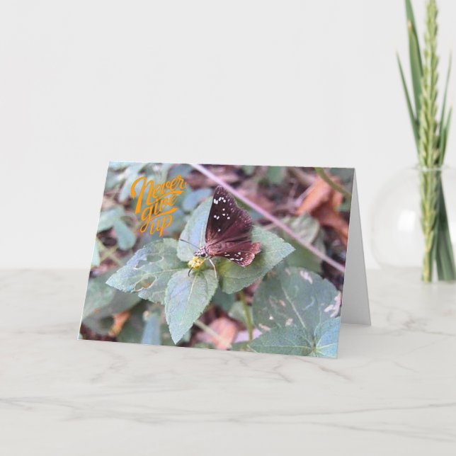Never Give Up Blank Butterfly Greeting Card (Front)