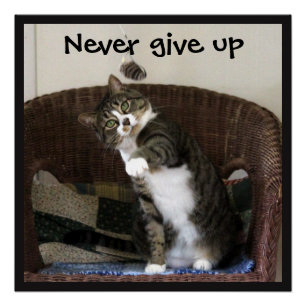 Never Give Up - Cat Chasing Mouse Poster