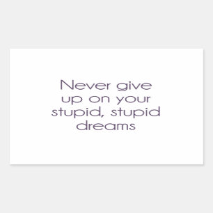 Never Give Up On Your Stupid Dreams Sticker