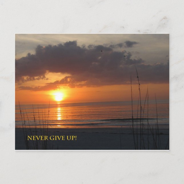Never Give Up Orange Sunset Beach Postcard (Front)