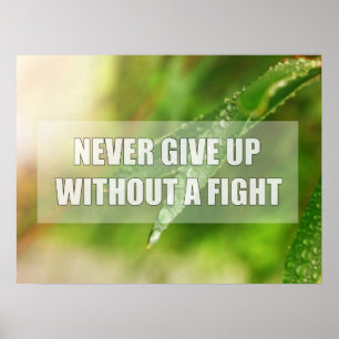 Never give up without a fight poster