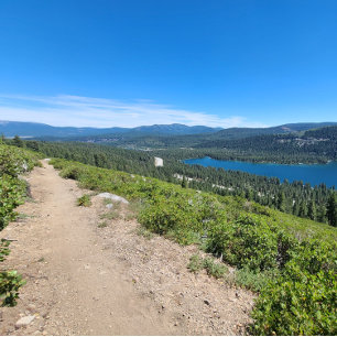 Never! Maybe. Poster