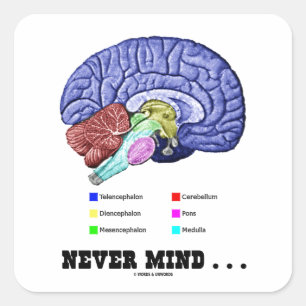 Never Mind ... (Brain Anatomy Psyche Humour) Square Sticker