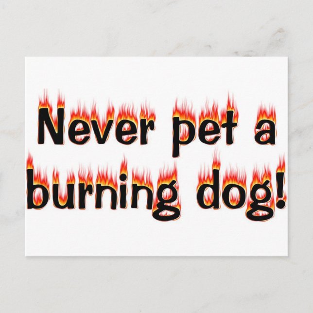 Never pet a burning dog! postcard (Front)
