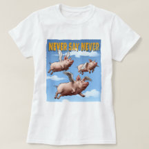 Never Say Never – Flying Pigs Illustration