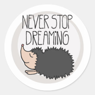 Never Stop Dreaming Classic Round Sticker