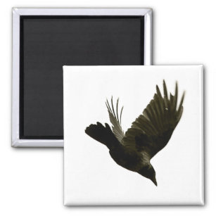 nevermore magnet