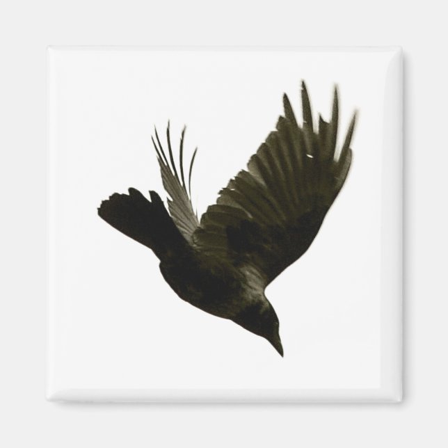 nevermore magnet (Front)