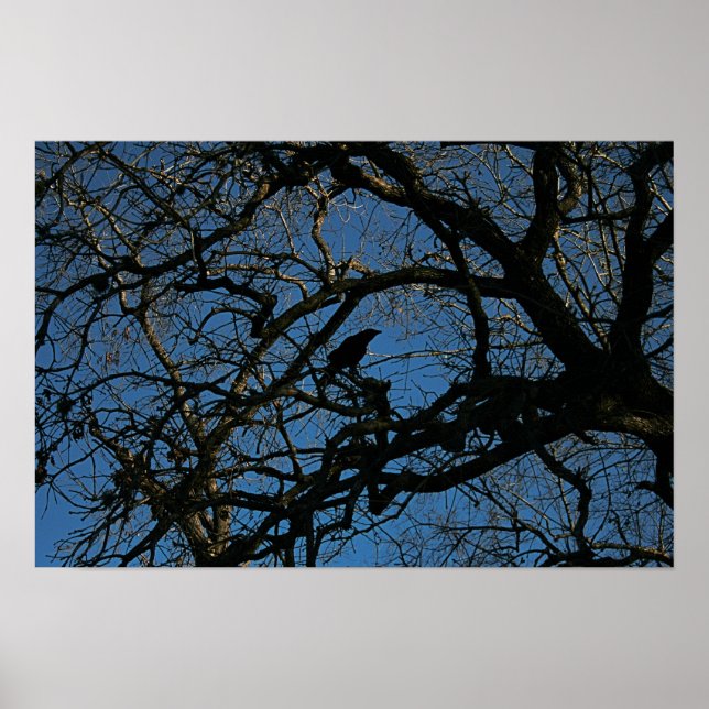 Nevermore Poster (Front)