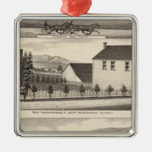 Nevis, Green residences, farms Metal Ornament