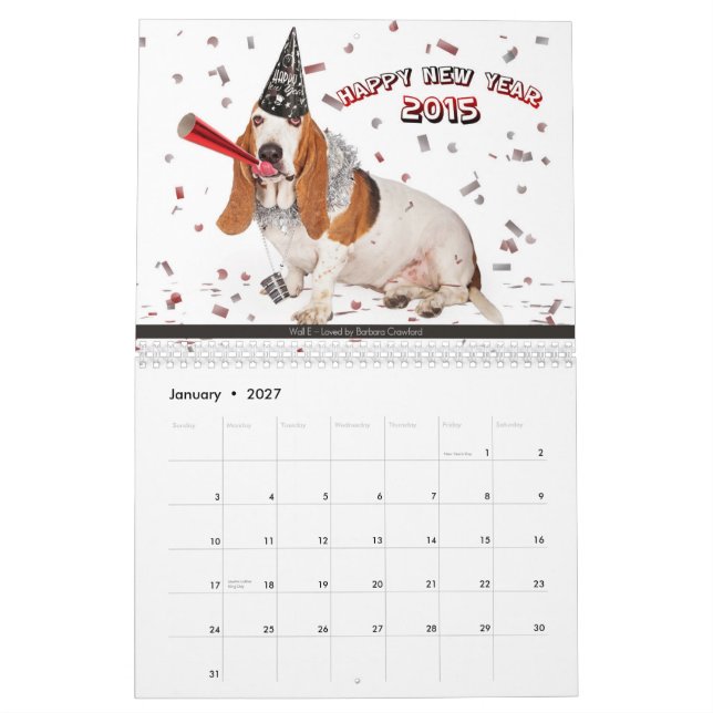 NEW - 2015 AZBHR Calendar (Jan 2027)