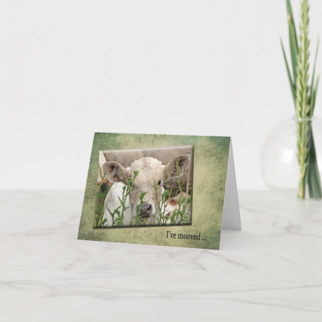 New Address announcement (Front)