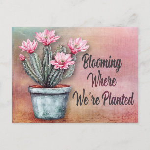 New Address Desert Cactus Moving Announcement Postcard