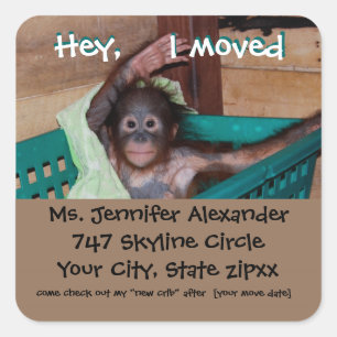New Address Monkey BUsiness Square Sticker