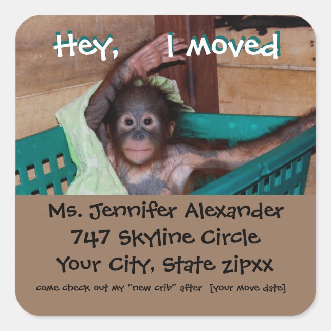 New Address Monkey BUsiness Square Sticker (Front)