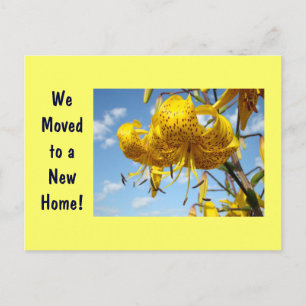 New Address postcards Moved to New Home cards