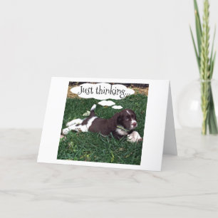 "NEW ADVENTURE IN LIFE" GOOD LUCK SAYS SPANIEL CARD