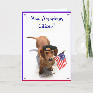 New AmericanCitizen Dachshund greeting card