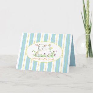 New Baby Boy Congratulations Little Lamb  Card