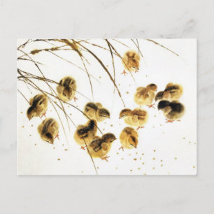 New baby chicks, Classical Chinese Art Announcement Postcard