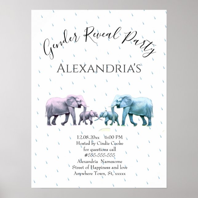 New Baby Gender Reveal Cute Pink and Blue Elephant Poster (Front)