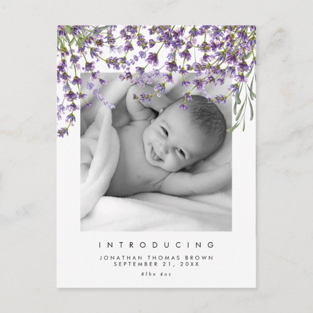 new baby neutral lavender photo postcard (Front)