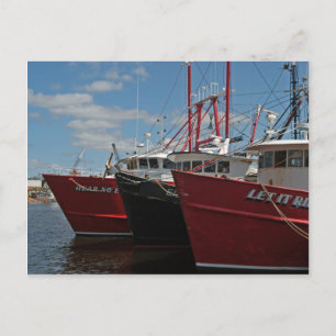 New Bedford Fishing Boats postcard