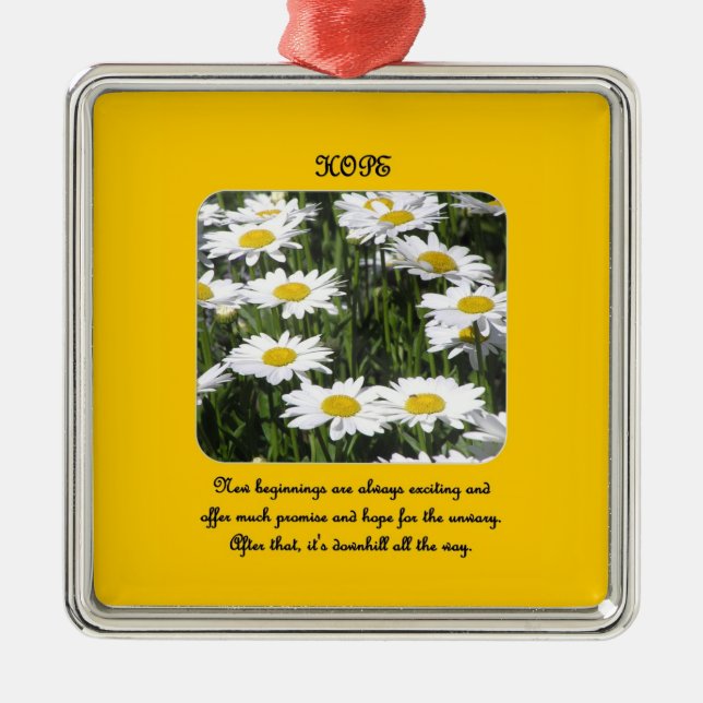 new-beginnings-are-always-exciting-and-offer-much metal ornament (Front)