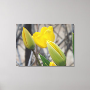 New Beginnings Canvas Print