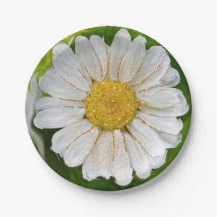 New Beginnings - Daisy flower power Paper Plate