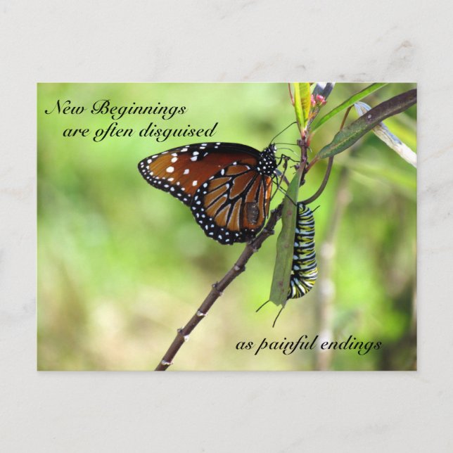 New Beginnings Postcard (Front)