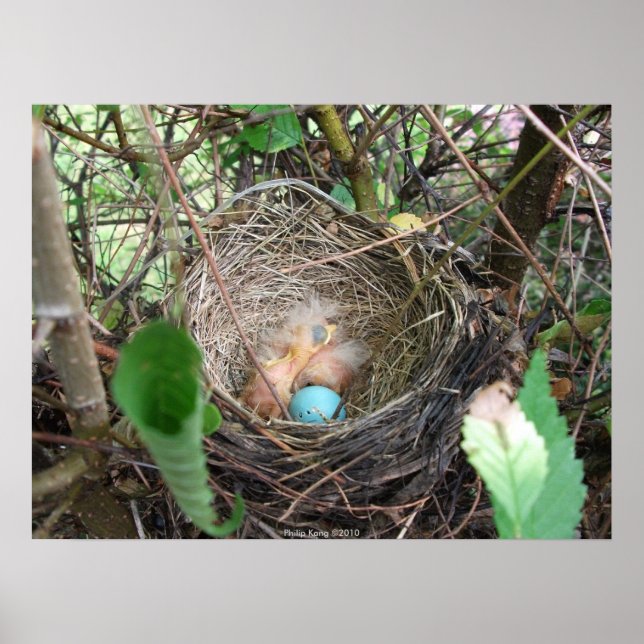 New Beginnings Poster (Front)