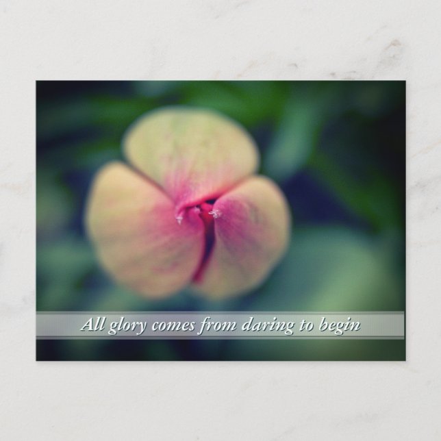 New Beginnings Spring Tulip Flower Postcard (Front)