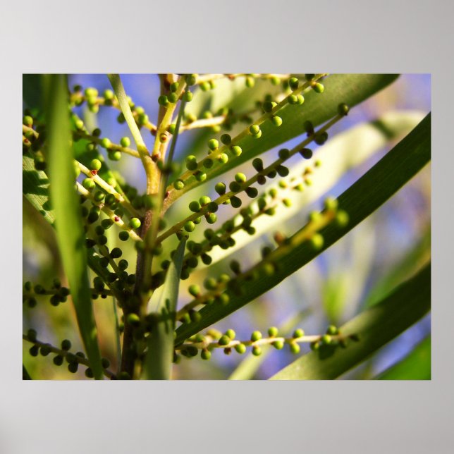 New Beginnings within the shadows Poster (Front)