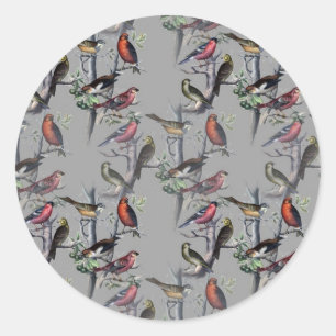 New Birds pattern accessories, vintage art grey Classic Round Sticker