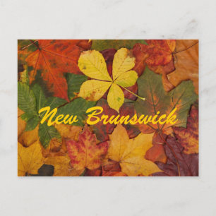 New Brunswick Autumn Leaves Postcard