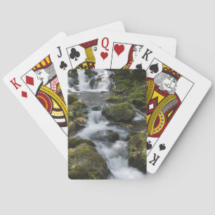 New Brunswick, Canada. Dickson Falls in Fundy Playing Cards