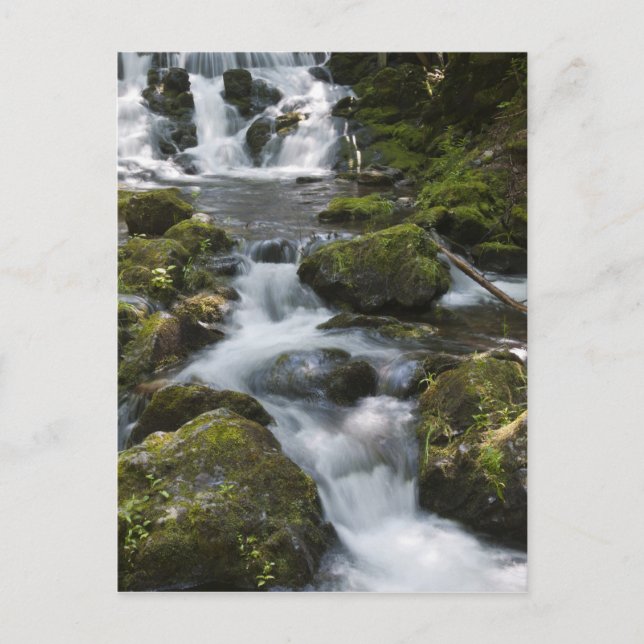 New Brunswick, Canada. Dickson Falls in Fundy Postcard (Front)